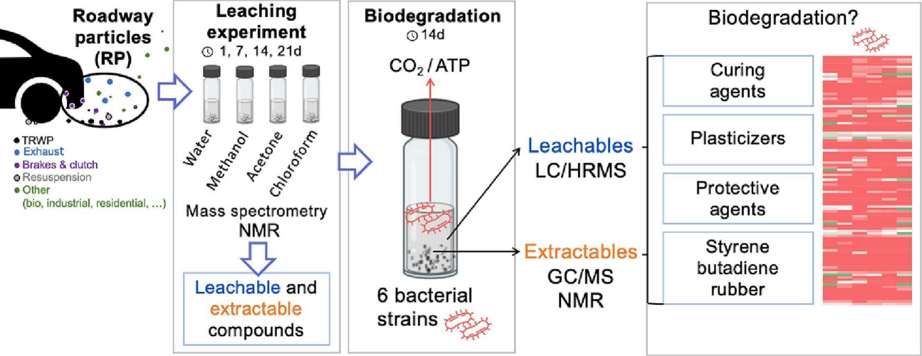 Schma - BioDLAB